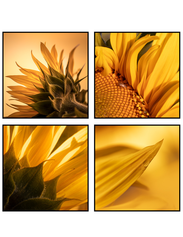 Platz 1 Anton Kienle